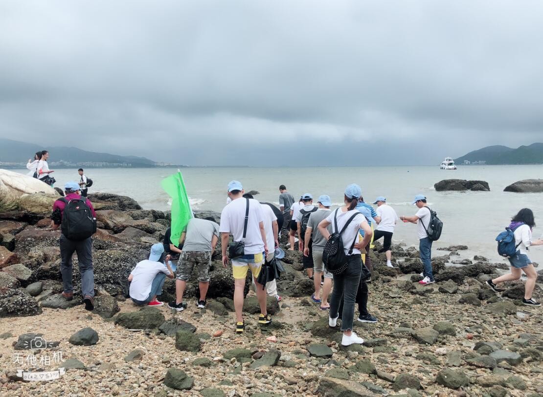 凝聚力量 共筑夢想 年深圳領航集團大鵬拓展活動 凝聚力量 共筑夢想 年深圳領航集團大鵬拓展活動