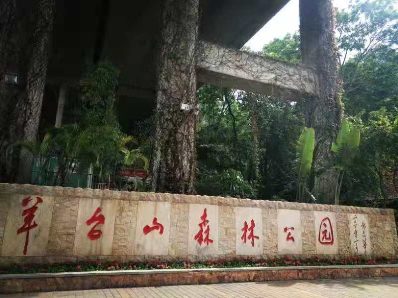 領(lǐng)航集團年深圳羊臺山之行 領(lǐng)航集團年深圳羊臺山之行